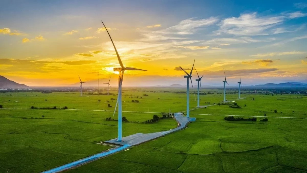 Net Zero và quyết định của doanh nghiệp