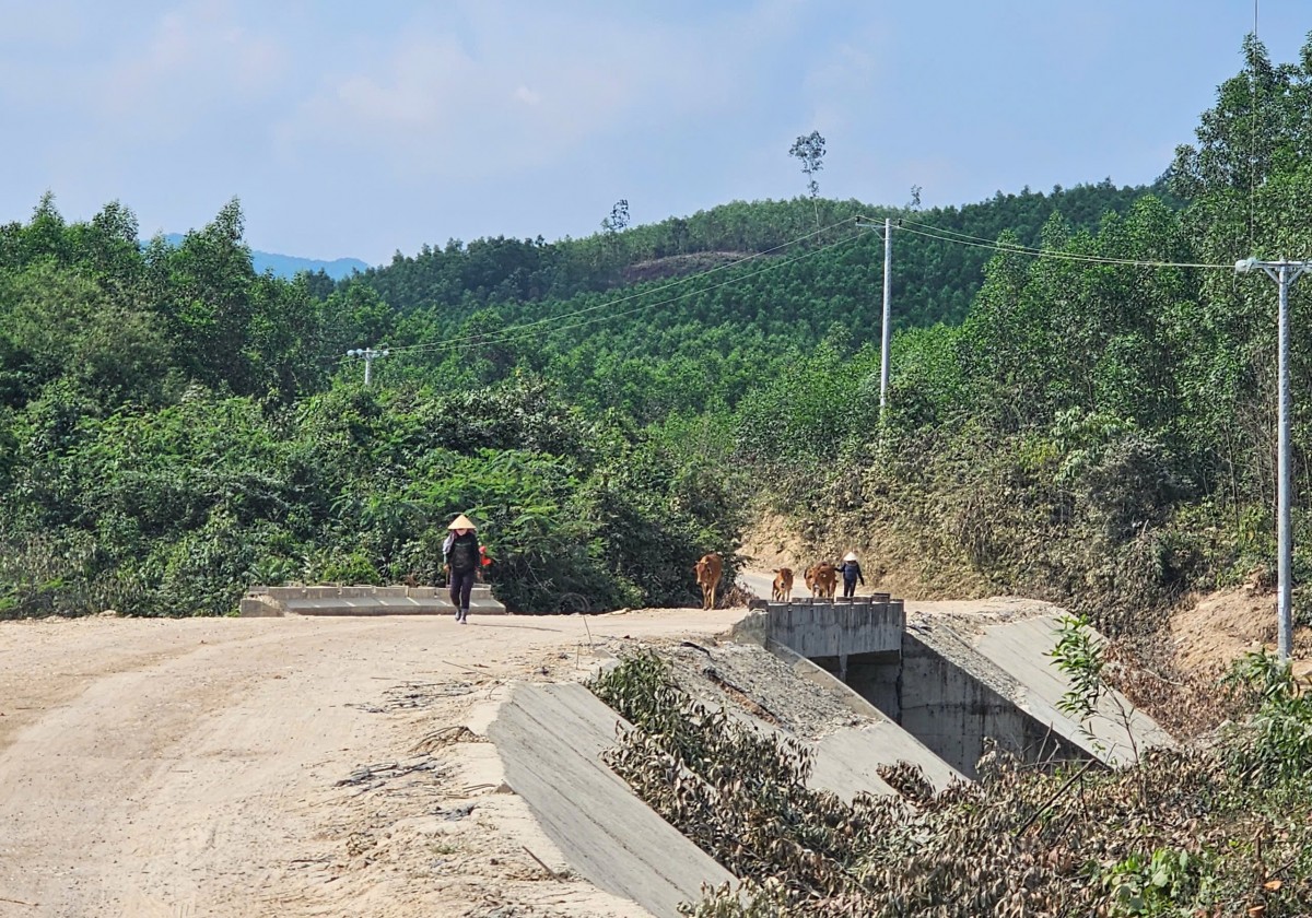 Bình Định: Điện lưới quốc gia thắp sáng tương lai làng Canh Tiến