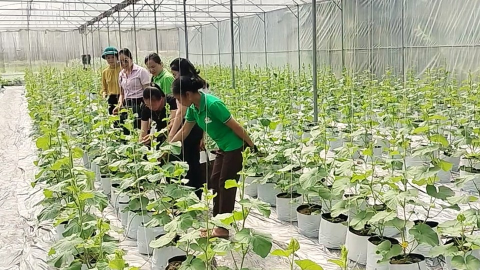 Cao Bằng: Điều chỉnh kịch bản, phấn đấu tăng trưởng 8% trong năm 2025