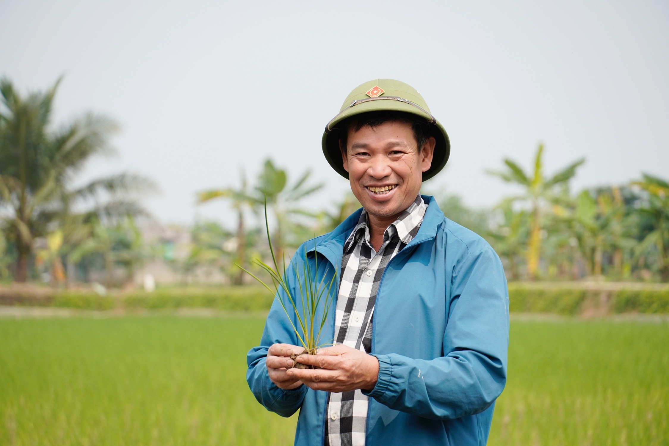 Ruộng đồng An Thanh “thắp lửa” cho nông nghiệp tử tế