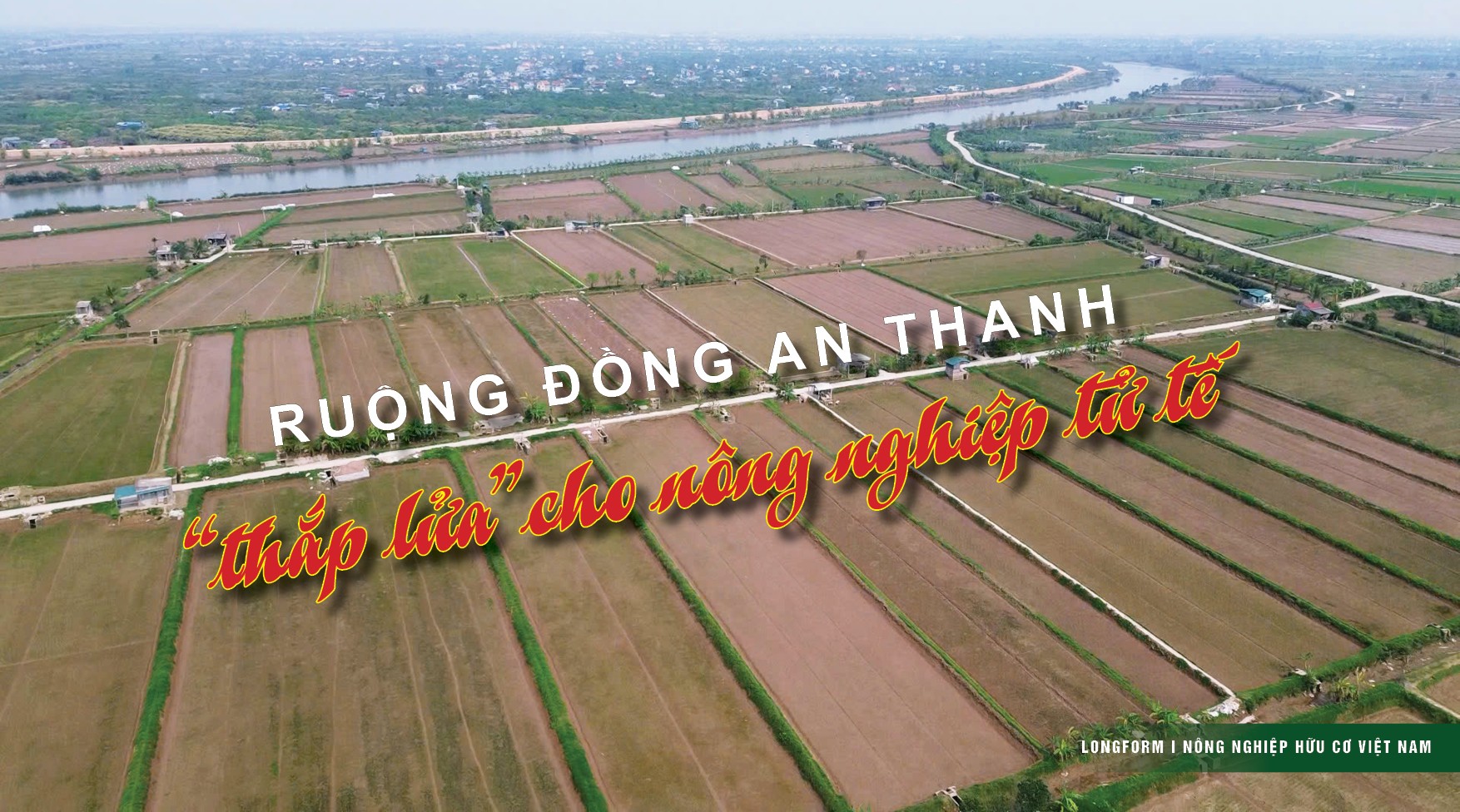 Ruộng đồng An Thanh “thắp lửa” cho nông nghiệp tử tế