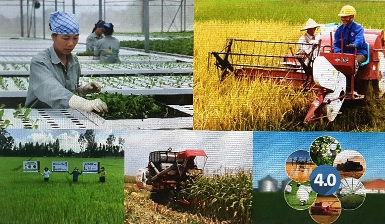 Kinh tế Việt Nam đang hiện dần vị thế trong bản đồ kinh tế thế giới