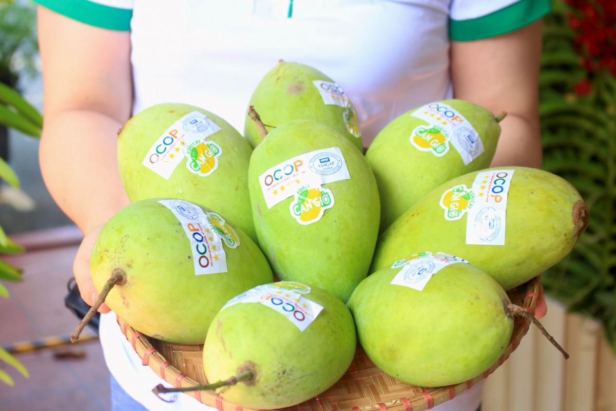 Động lực cho phát triển kinh tế nông thôn thời kỳ mới