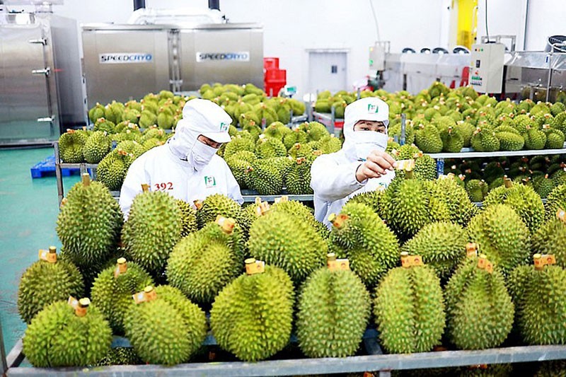 Đưa nông sản OCOP ra thế giới: Rào cản và cơ hội nâng cao giá trị nông nghiệp Việt