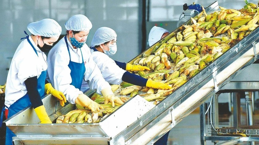 Đưa nông sản OCOP ra thế giới: Rào cản và cơ hội nâng cao giá trị nông nghiệp Việt