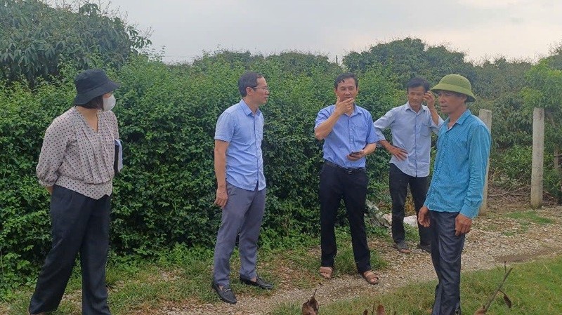 Hải Dương tăng cường chỉ đạo phòng trừ sâu, bệnh hại cây trồng
