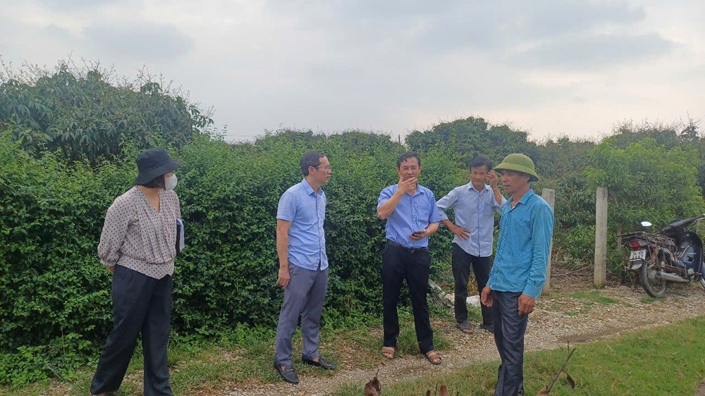Hải Dương tăng cường chỉ đạo phòng trừ sâu, bệnh hại cây trồng