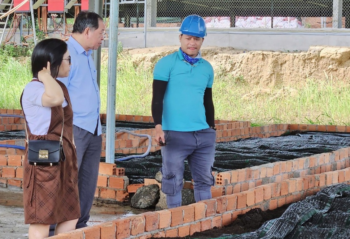 Phân bón hữu cơ trùn quế MT Tây Nguyên Xanh: Giải pháp cho nông nghiệp bền vững