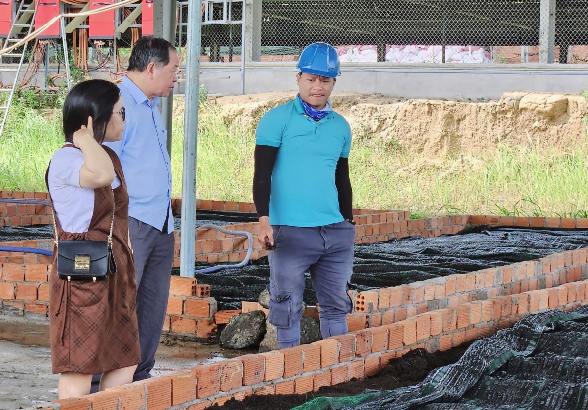 Phân bón hữu cơ trùn quế MT Tây Nguyên Xanh: Giải pháp cho nông nghiệp bền vững