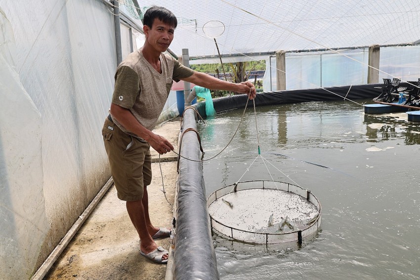 Nhiều hộ dân đầu tư nuôi tôm theo hướng công nghệ cao tại huyện Hậu Lộc.
