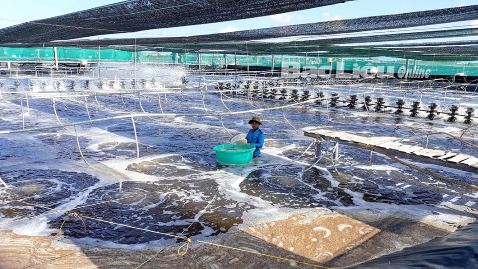 Khuyến nông đóng vai trò quan trọng trong phát triển nông nghiệp hữu cơ gắn với du lịch sinh thái