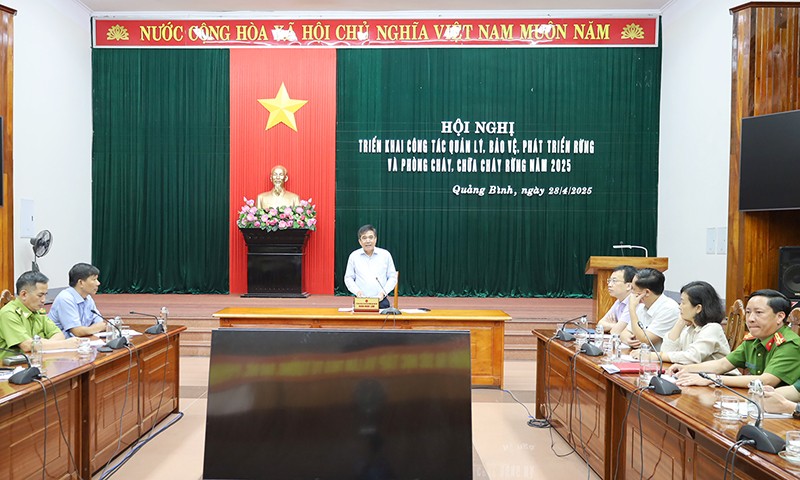 Quảng Bình: Triển khai công tác quản lý, bảo vệ, phát triển rừng và phòng cháy, chữa cháy rừng năm 2025