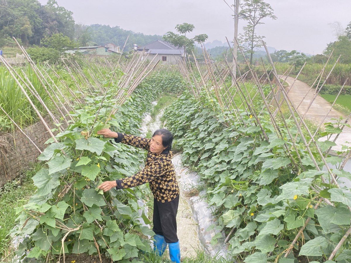 Người nông dân bền bỉ vượt khó, lặng lẽ viết nên câu chuyện làm giàu
