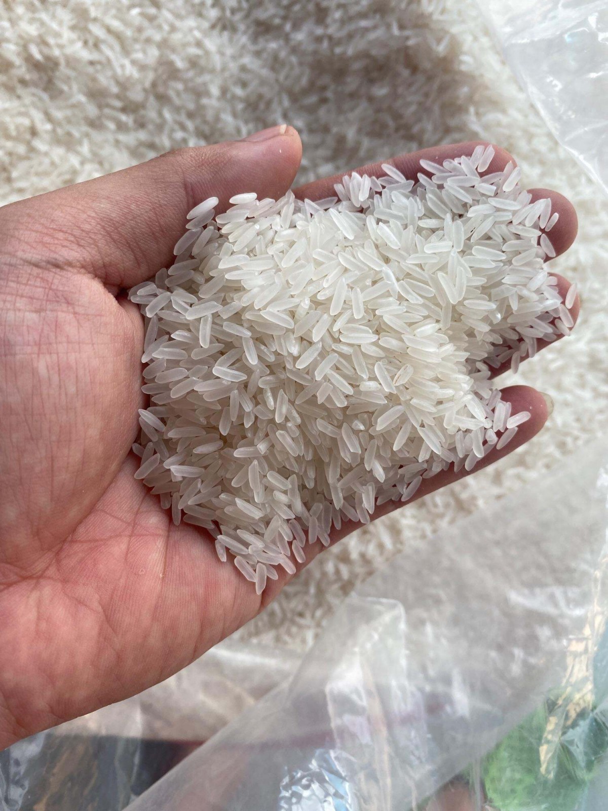 Nếp Nàng Hương: Thơm ngát hương trời, đượm tình quê