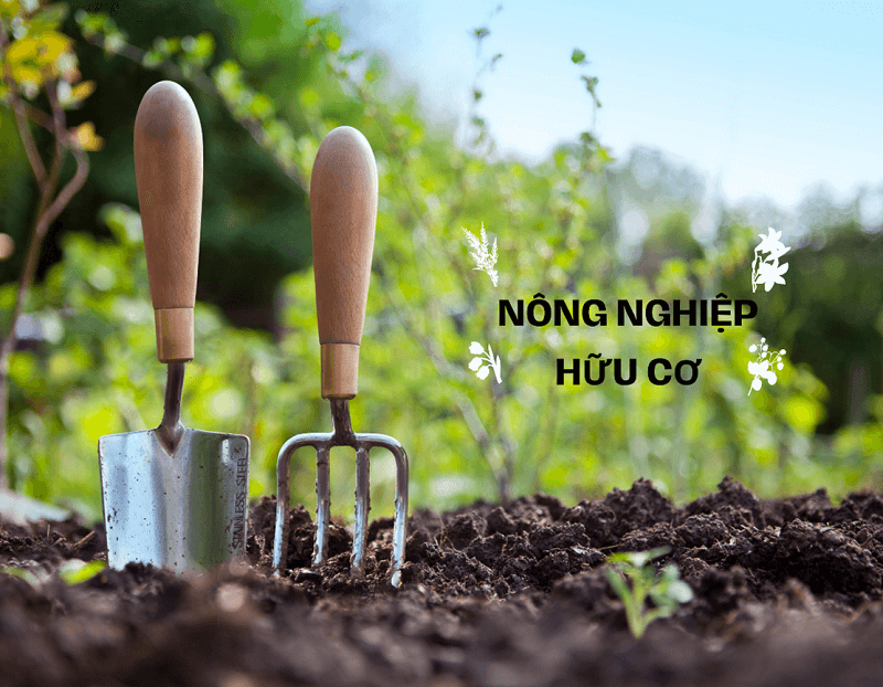 Nông nghiệp hữu cơ: Hướng đi xanh giúp tái tạo môi trường sống