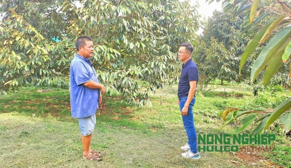 Đề nghị xử lý thông tin xấu độc liên quan đến “sầu riêng nhúng hóa chất tại Đắk Nông”