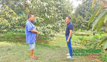 Đề nghị xử lý thông tin xấu độc liên quan đến “sầu riêng nhúng hóa chất tại Đắk Nông”