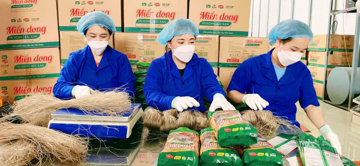 Người phụ nữ đưa miến dong " đặc sản Bắc Kạn" vươn ra biển lớn