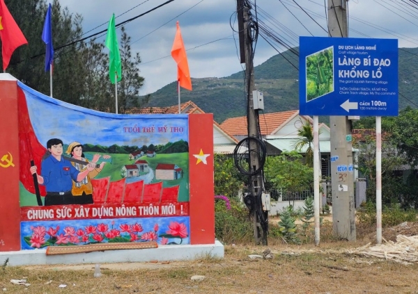 Mãn nhãn với vườn bí đao khổng lồ chỉ có ở Bình Định