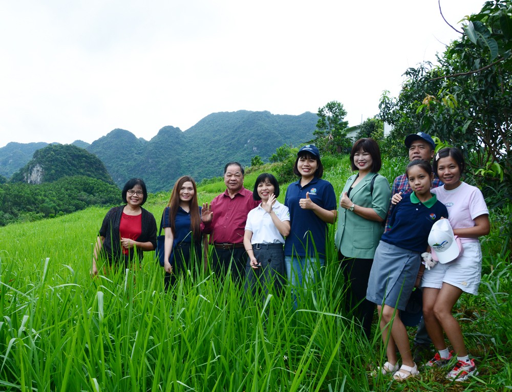 Trải nghiệm tại Mục Đồng farm: Giúp học sinh trường Genesis hiểu rõ giá trị của nông nghiệp hữu cơ với cuộc sống