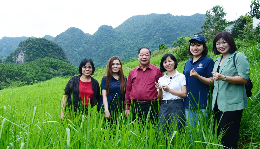 Trải nghiệm tại Mục Đồng farm: Giúp học sinh trường Genesis hiểu rõ giá trị của nông nghiệp hữu cơ với cuộc sống