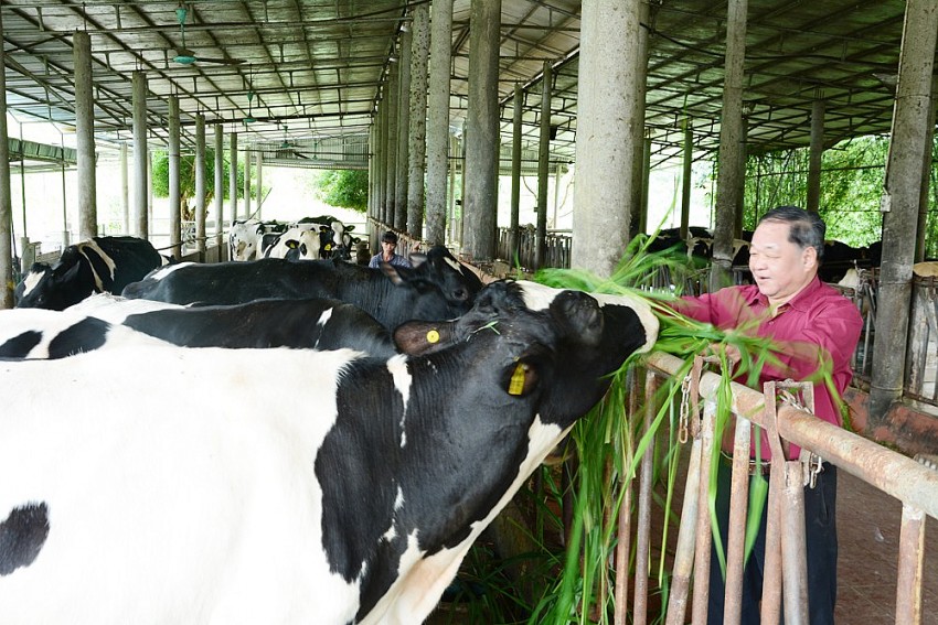 Trải nghiệm thực tiễn tại Mục Đồng farm giúp học sinh trường Genesis hiểu rõ giá trị của nông nghiệp hữu cơ với cuộc sống