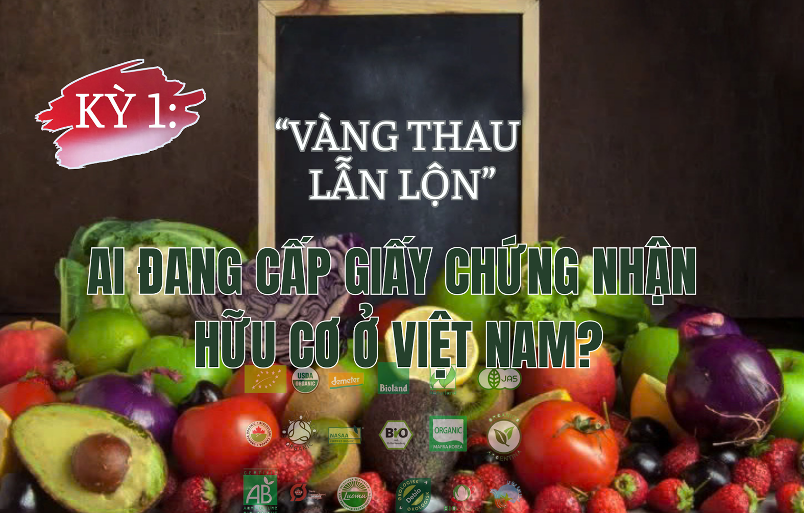 KỲ 1: Thị trường “vàng thau lẫn lộn” - Ai đang cấp giấy chứng nhận hữu cơ ở Việt Nam?