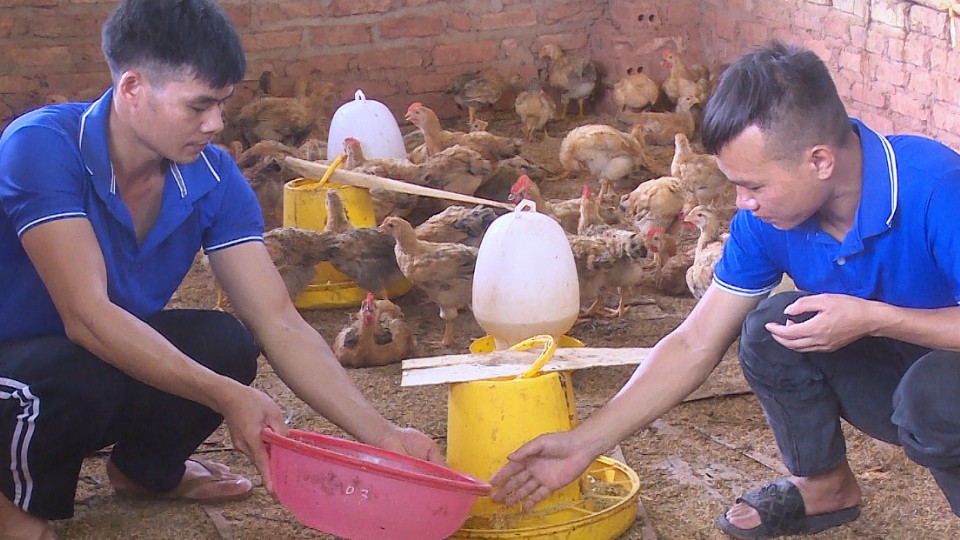 Chủ động phòng bệnh trên đàn vật nuôi mùa nắng nóng