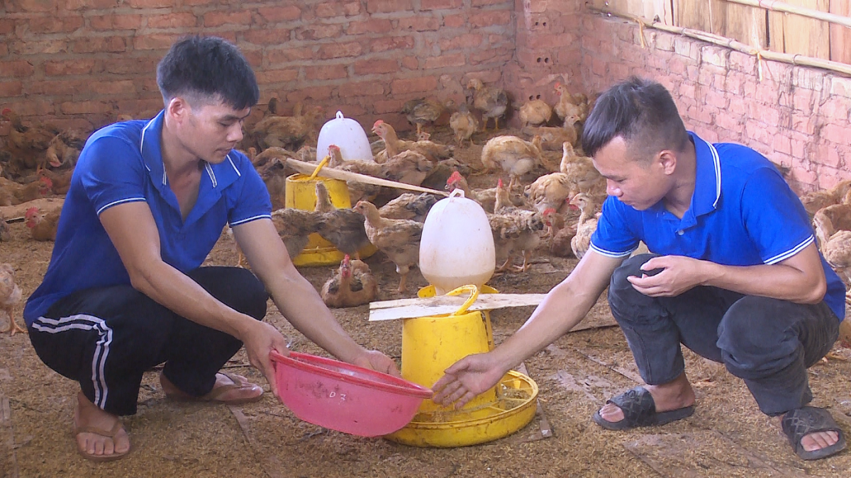 Chủ động phòng bệnh trên đàn vật nuôi mùa nắng nóng