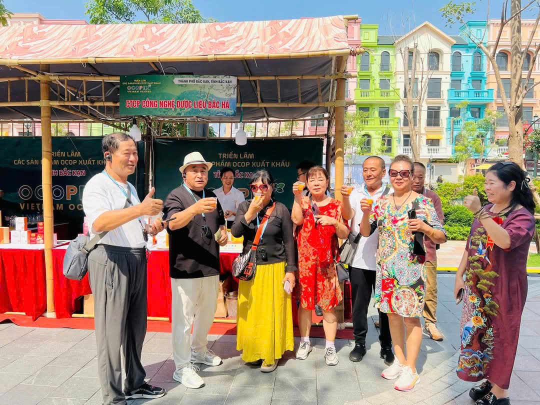 “Tinh chất quý” từ củ nghệ nếp vàng của vùng núi cao Bắc Kạn
