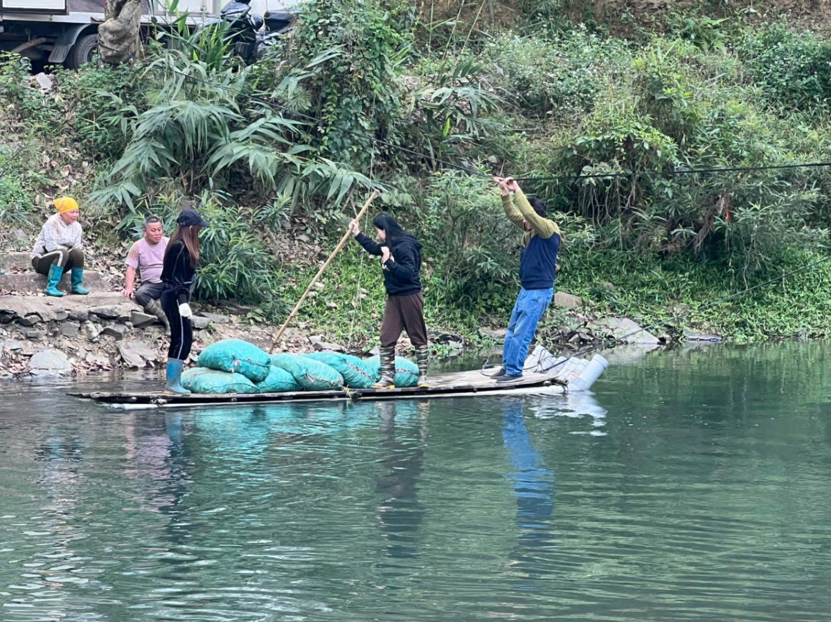 “Tinh chất quý” từ củ nghệ nếp vàng của vùng núi cao Bắc Kạn