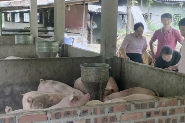 Tín dụng chính sách "thắp sáng" bản làng vùng cao