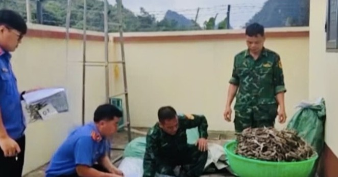 Cao Bằng: Bắt giữ, xử lý 3 vụ vận chuyển hàng hoá trái nhập lậu trái phép qua biên giới