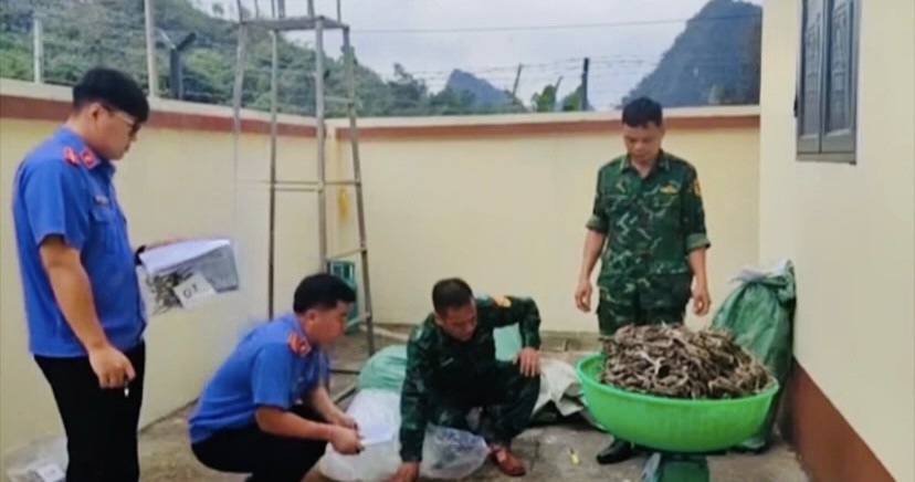 Cao Bằng: Bắt giữ, xử lý 3 vụ vận chuyển hàng hoá trái nhập lậu trái phép qua biên giới