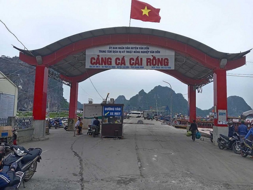 Khu neo đậu tránh trú bão kết hợp cảng cá Cái Rồng 