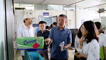 Hà Nội: Phát hiện xử lý hơn 3.162 tỉ đồng thực phẩm nhập lậu, không rõ nguồn gốc
