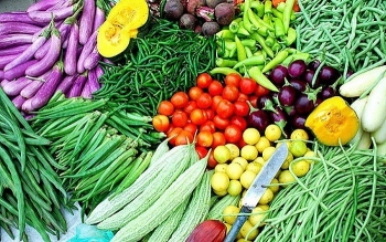 Việt Nam đang sản xuất hơn 120 loại rau có nguồn gốc nhiệt đới, cận nhiệt đới và ôn đới