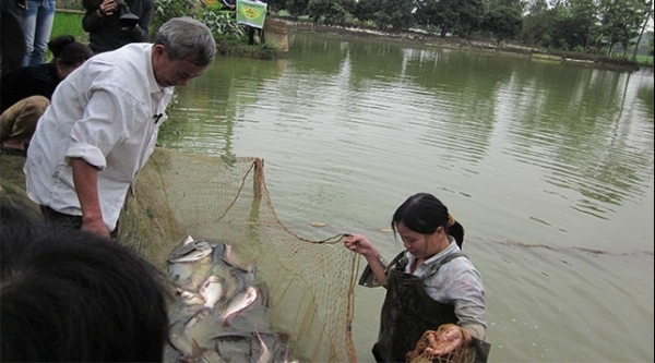 Hải Dương: Ứng dụng khoa học công nghệ vào nuôi trồng thủy sản giúp nông dân đạt năng suất cao