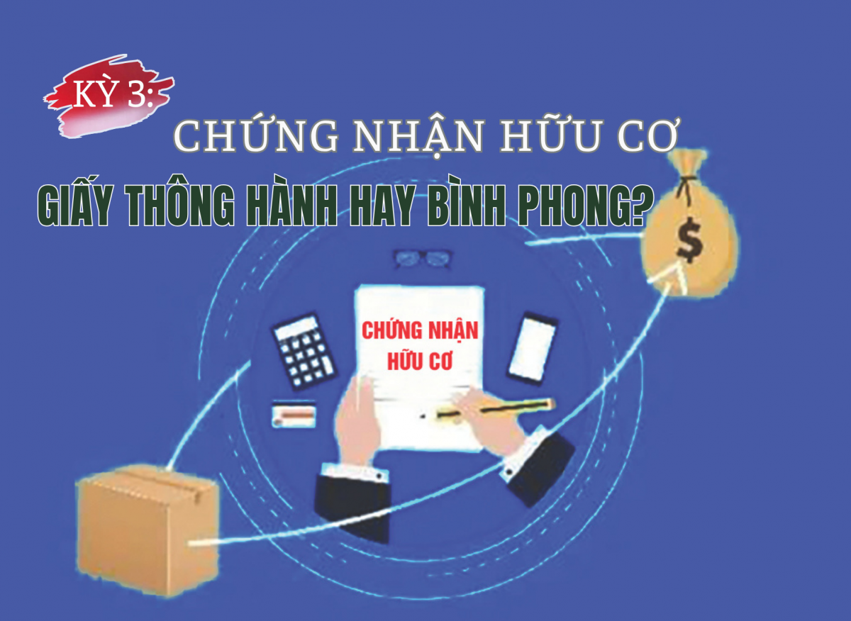 [Longform] Chứng nhận hữu cơ - Giấy thông hành hay bình phong?