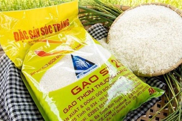 4 cách phân biệt gạo ST25 thật và giả