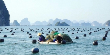 Quảng Ninh: Hiệu quả từ Quỹ Hỗ trợ nông dân tỉnh