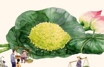 Cốm Làng Vòng: Hương lúa non, hồn quê Hà Nội, thức quà tháng Tám