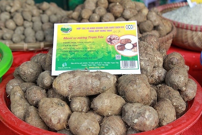 Cây trồng chủ lực giúp xã nghèo nhất Yên Bái vươn lên thoát nghèo