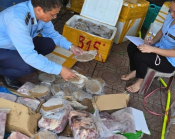 Quảng Bình phát hiện và thu giữ gần 270kg thực phẩm không rõ nguồn gốc
