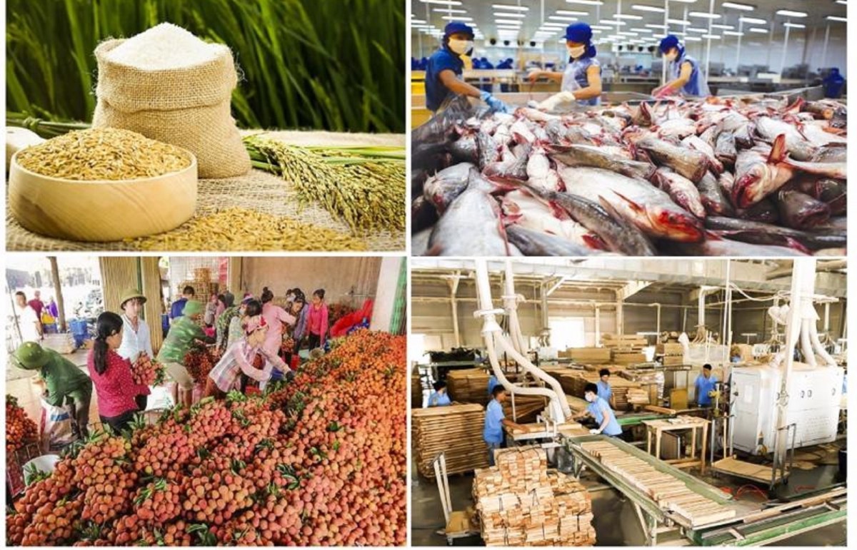 Kim ngạch xuất khẩu nông, lâm, thủy sản  đạt 28,04 tỷ USD, tăng 15,1%