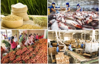 Kim ngạch xuất khẩu nông, lâm, thủy sản  đạt 28,04 tỷ USD, tăng 15,1%