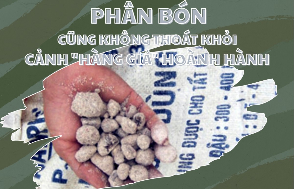 Phân bón cũng không thoát khỏi cảnh "hàng giả" hoành hành