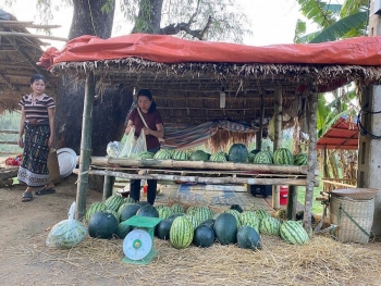 Nhiều gia đình ở xã biên giới thoát nghèo nhờ trồng dưa hấu