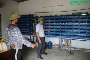 Dự án đường Vành đai 2 ở Hải Phòng: Cần xem xét lại chính sách bồi thường đất nông nghiệp
