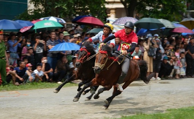 Sôi động giải đua ngựa tại Festival cao nguyên trắng Bắc Hà